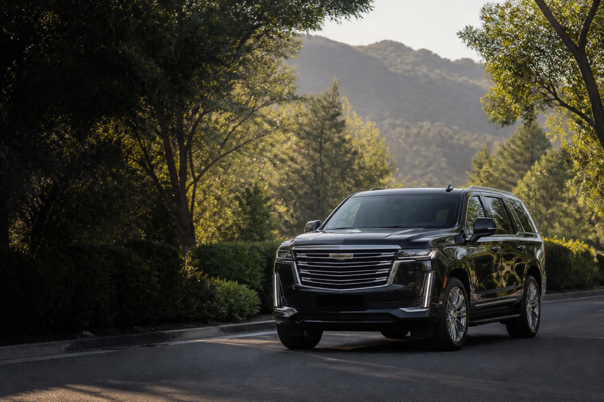 Private luxury SUV on a tree-lined Mill Valley road for an airport transfer